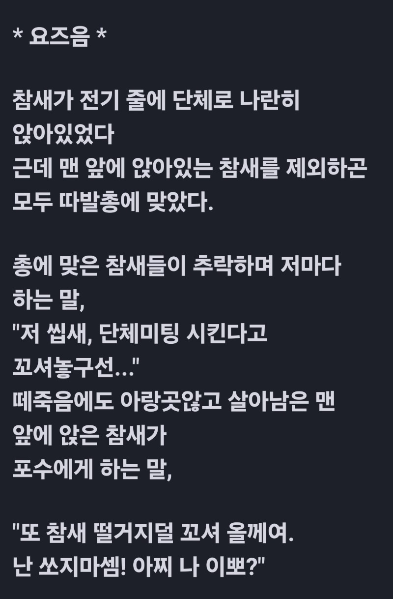 굿몽 ~참새 시리즈 변천사
