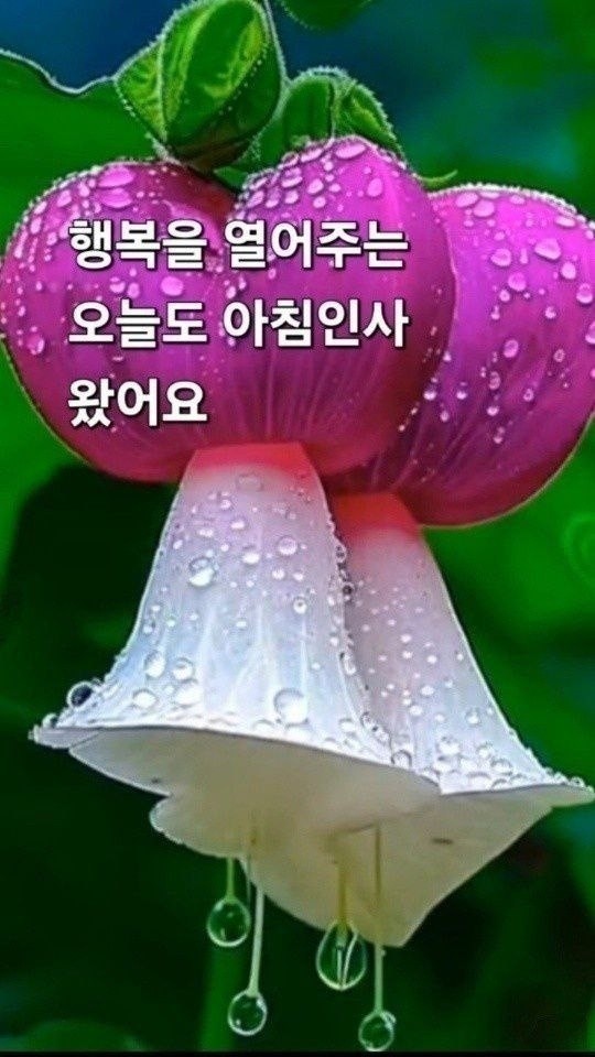 굿몽 ~참새 시리즈 변천사