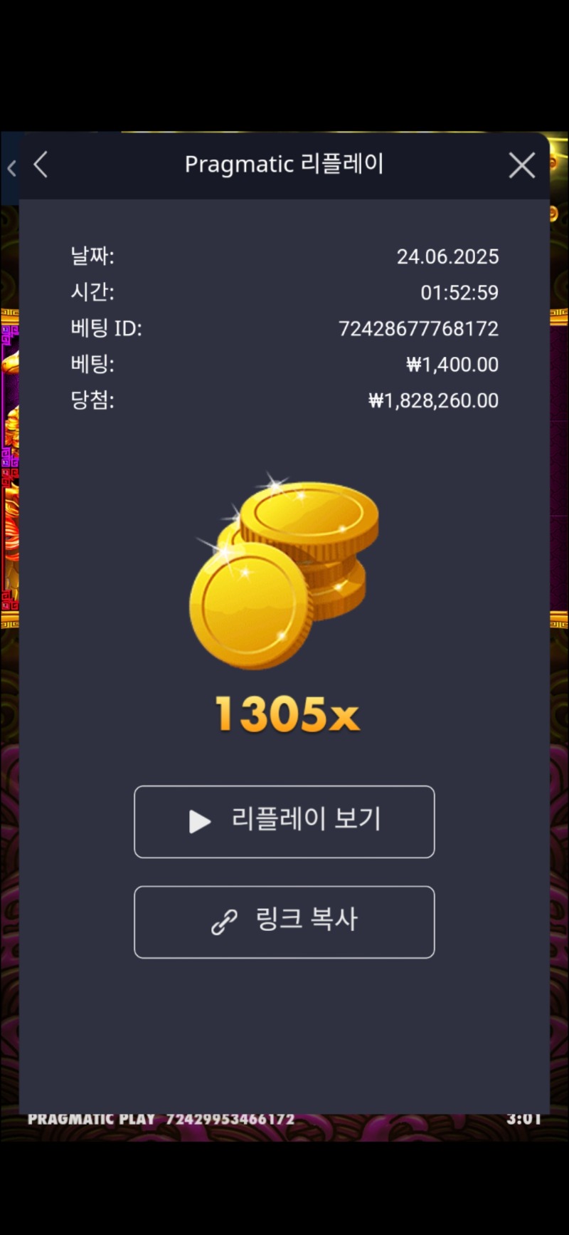 토라메1305배