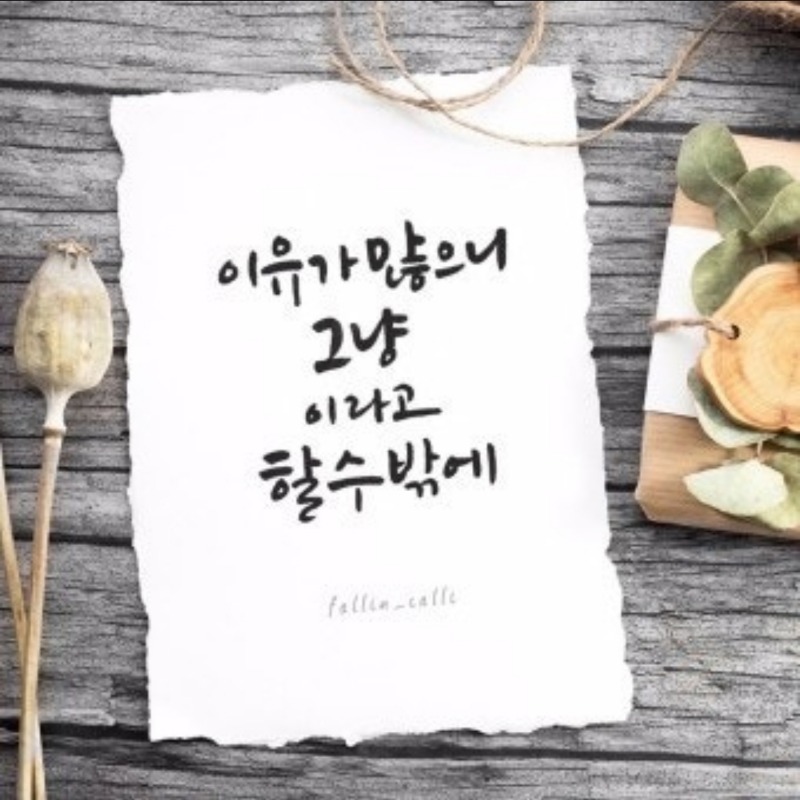 굿몽~걱정하지마  잘 될거야
