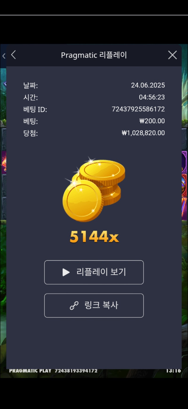 멀린5144배