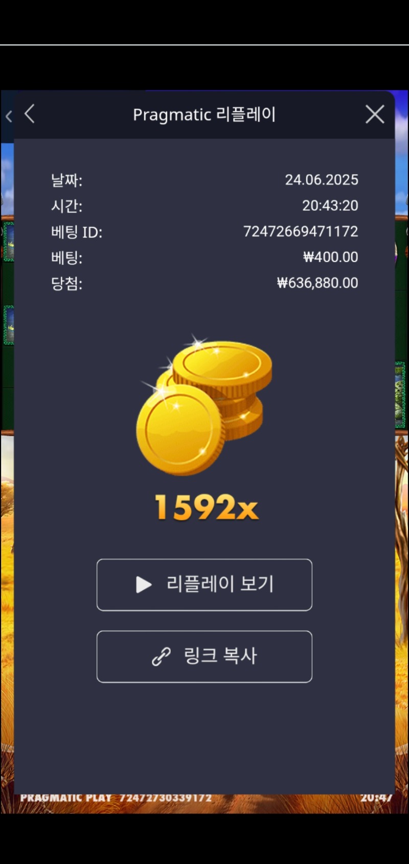 그라메 1592배