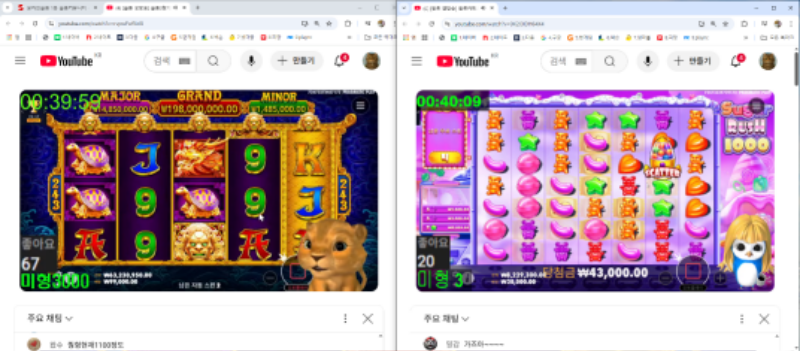 미니형난 가짱