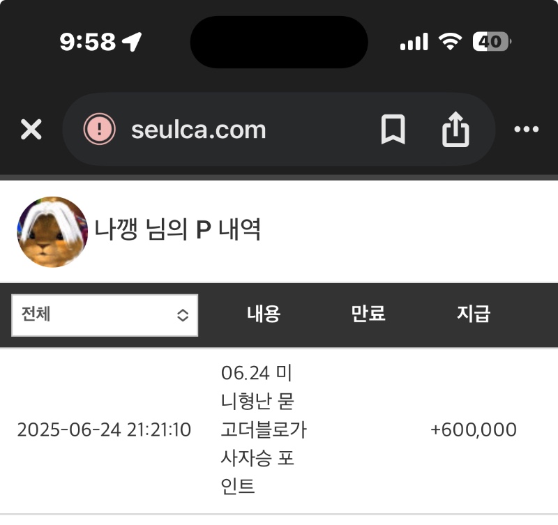 미니형난 사자승