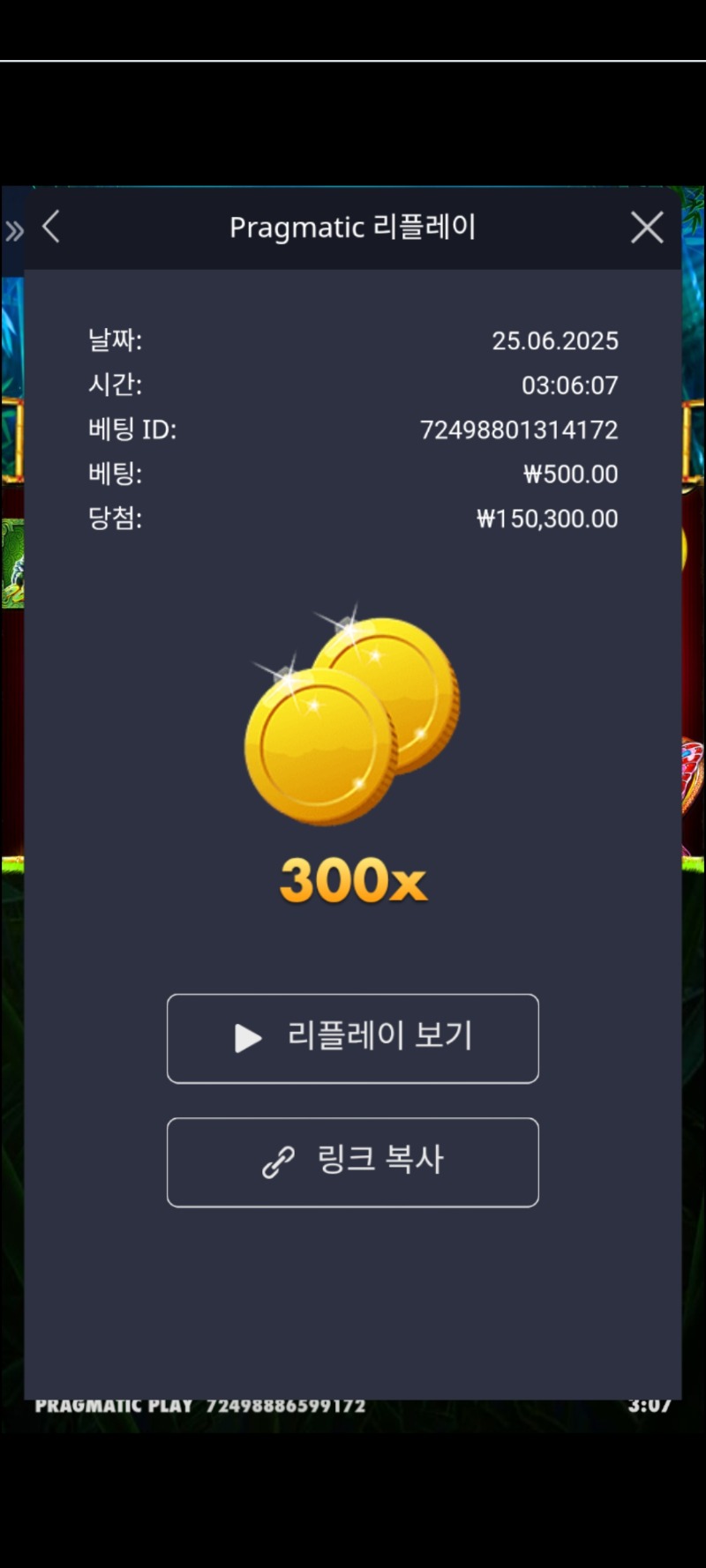판다1/300배