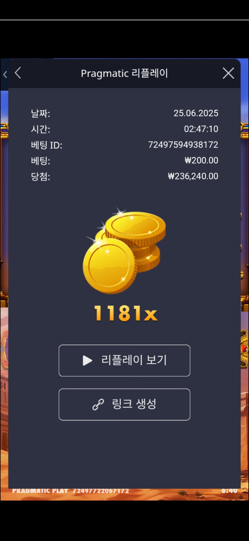 피라미드 보난자1181배
