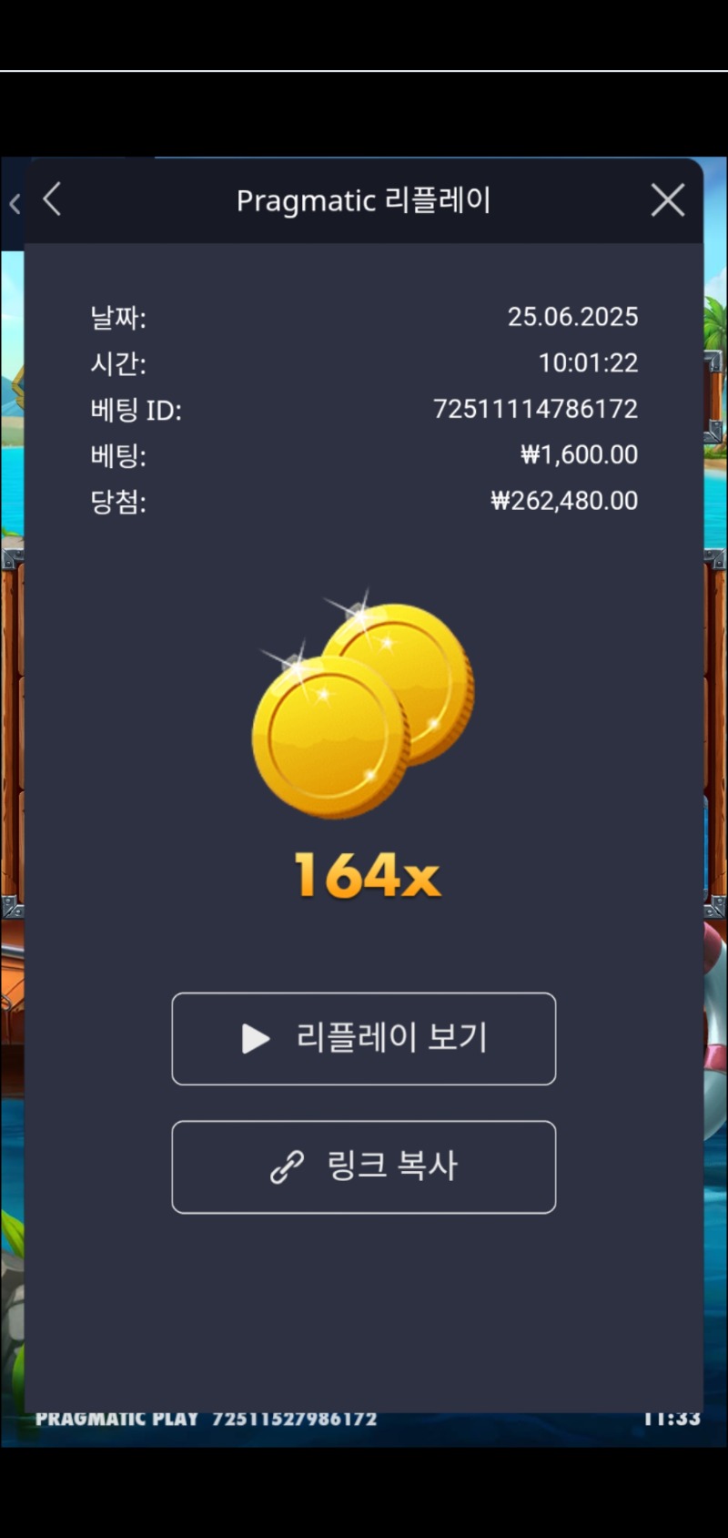 럭피 164배