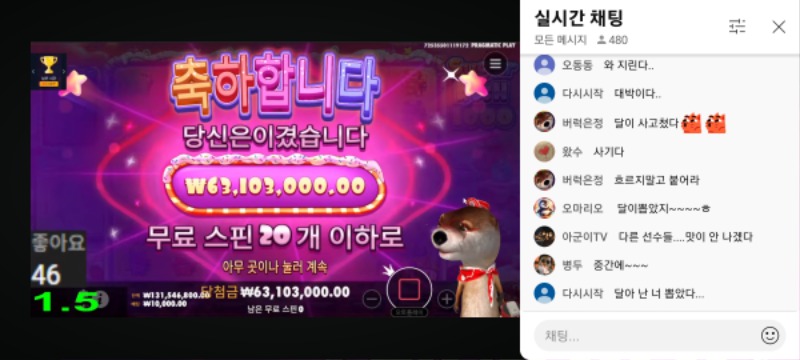 달이 최배비 6310배...