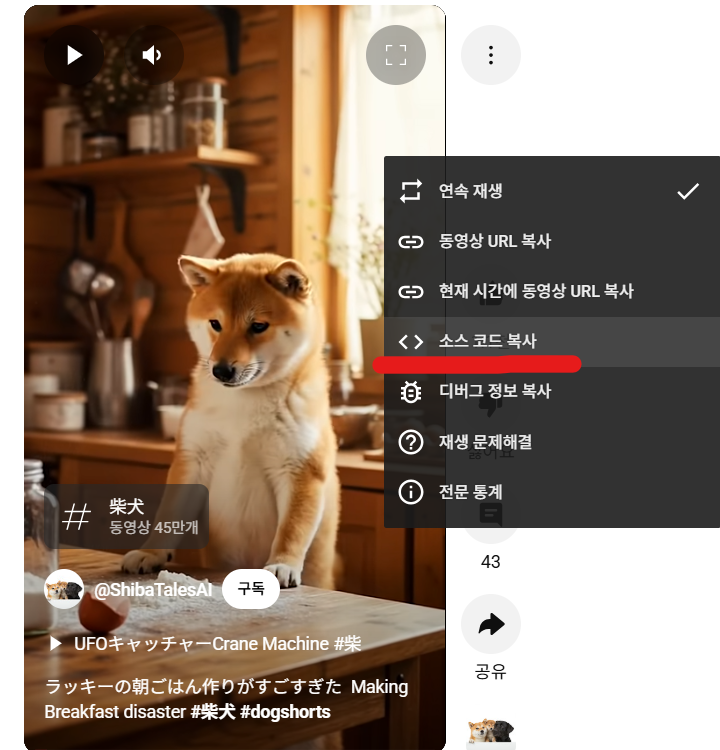 유튜브 영상 게시글 작성
