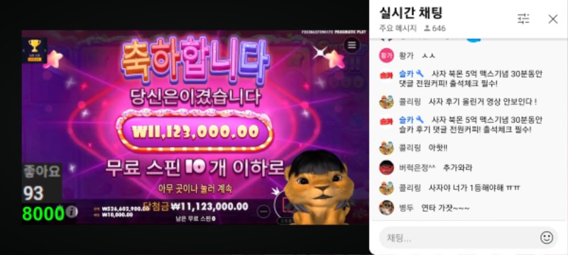 사자 최배비 결과~
