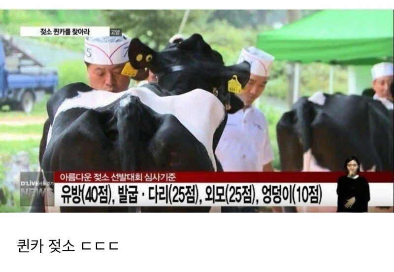 유방 40, 다리 25, 외모 25, 엉덩이 10