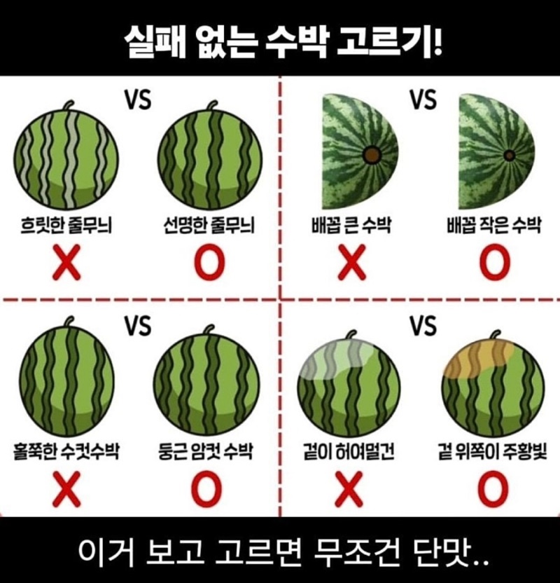 실패없는 수박 고르기