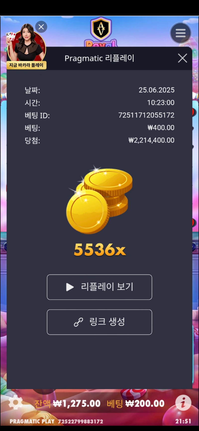 로얄 슈가1000 5536배