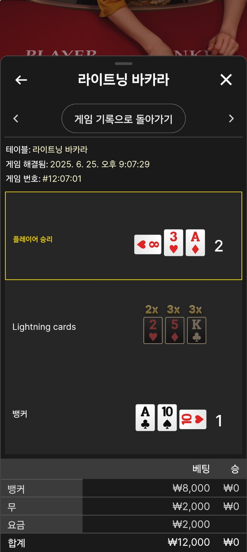 라이트닝패