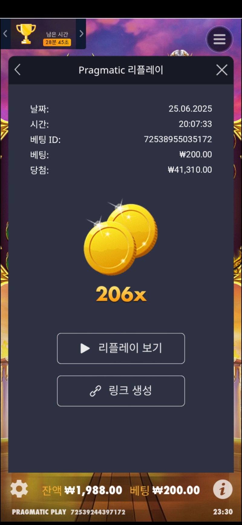 할배천 206배