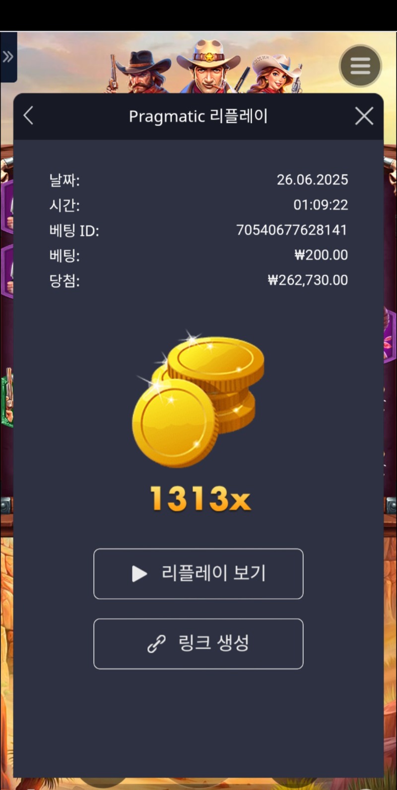 와일드바운티