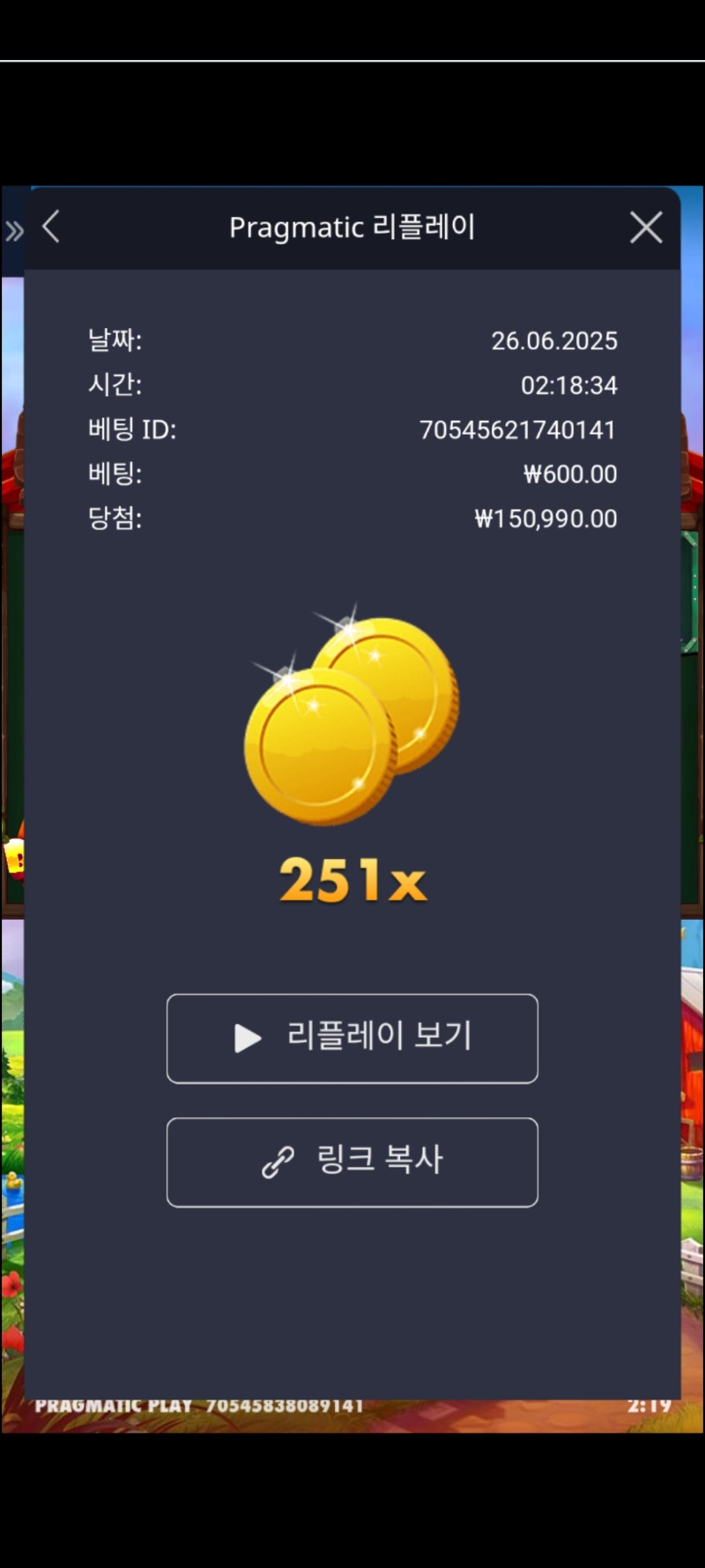 닭집 251배