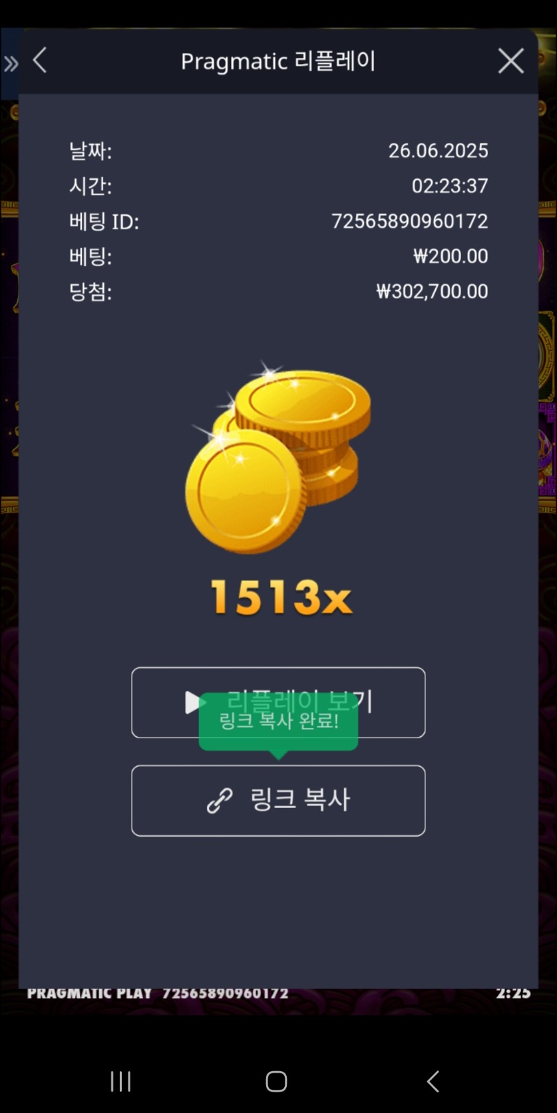 토라메 1513