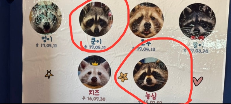 슬카코피 잘 마실게에