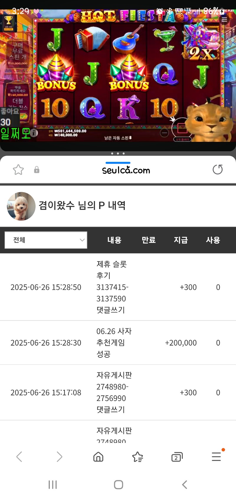 사자형 추겜 당첨 슬포