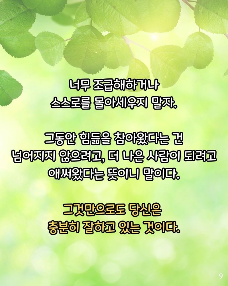 굿밤~나는나비(성인 97% 이질환)