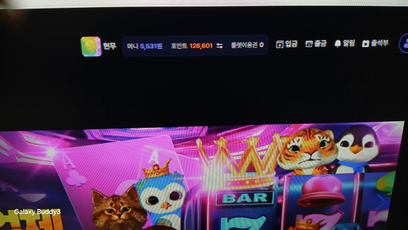 놀리터로 벌써 들어와네요