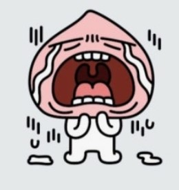 쁘띠언니 해피벌스데이이이