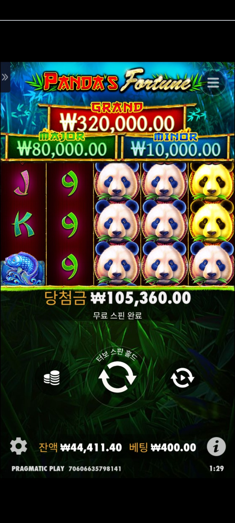 판다1/263배
