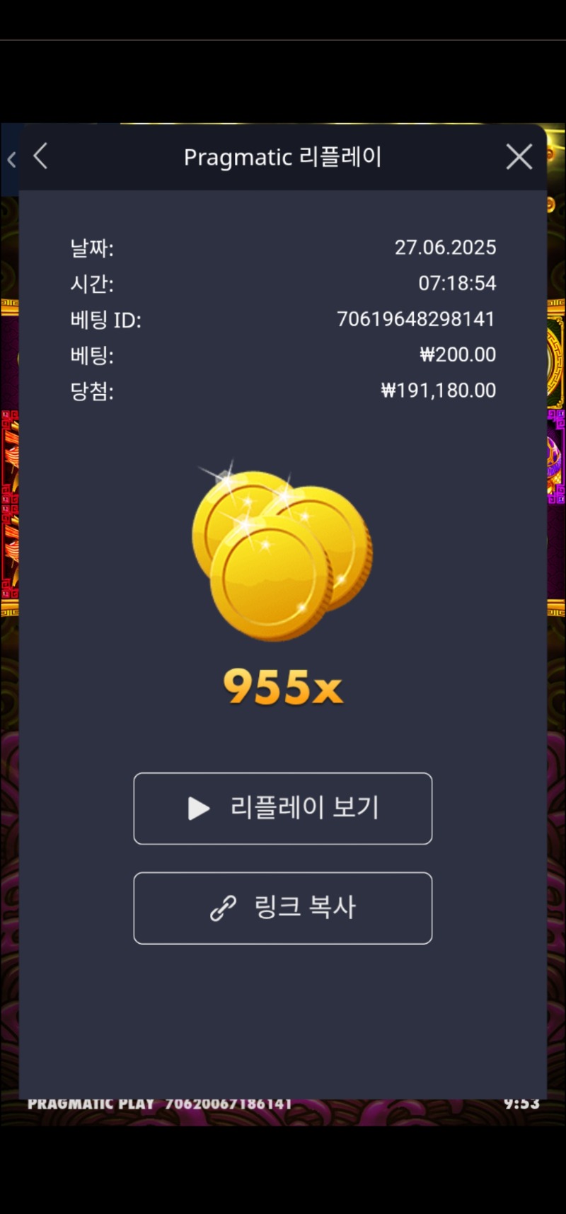 토라메 955