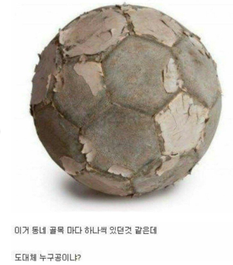 학창시절 미스테리