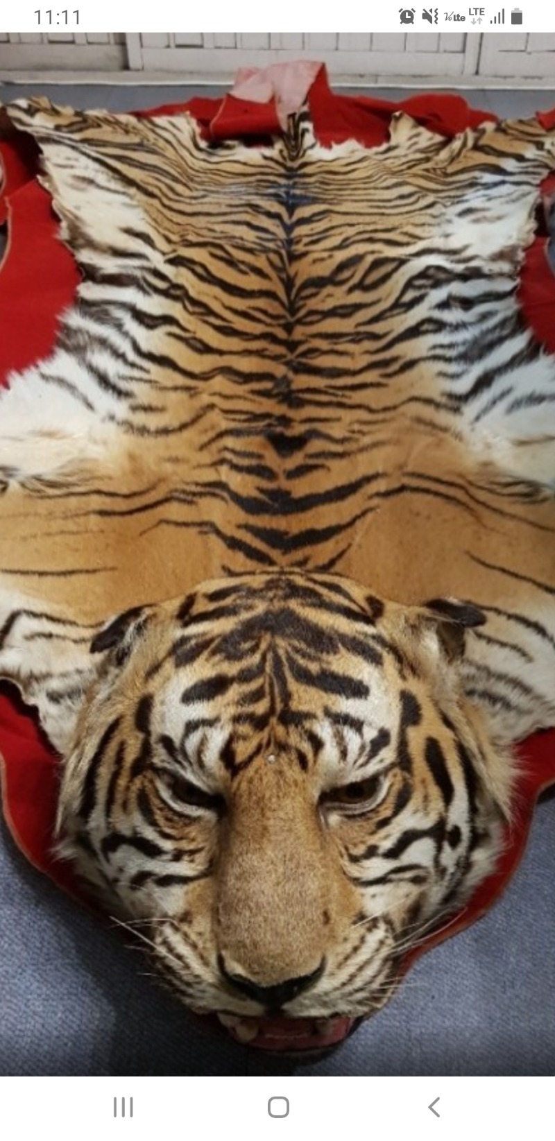 변랑이는 이제 벗자