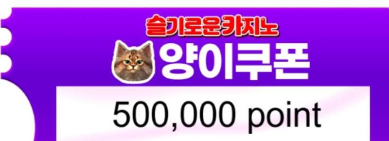 양이 쿱핀볼 1등도착^^~