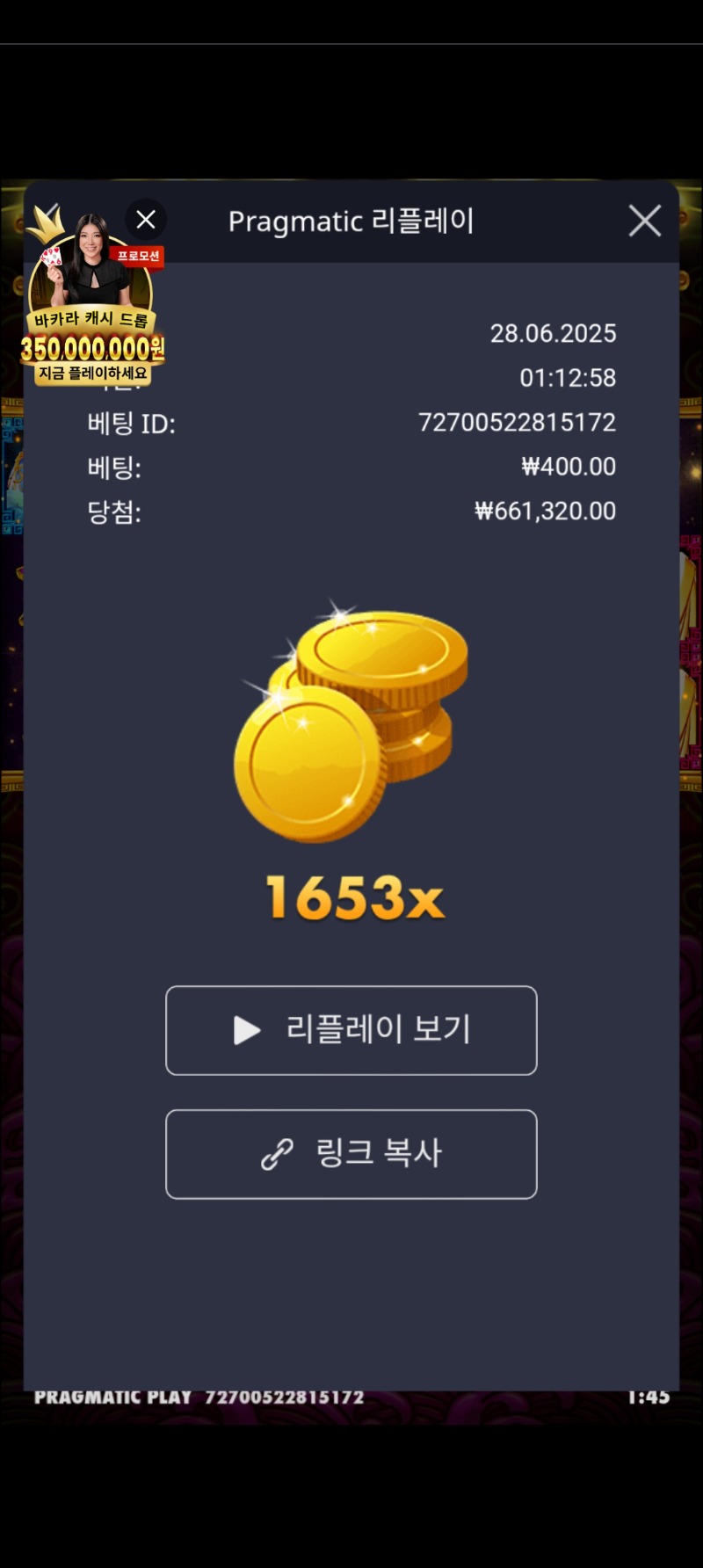 토라메 1563배