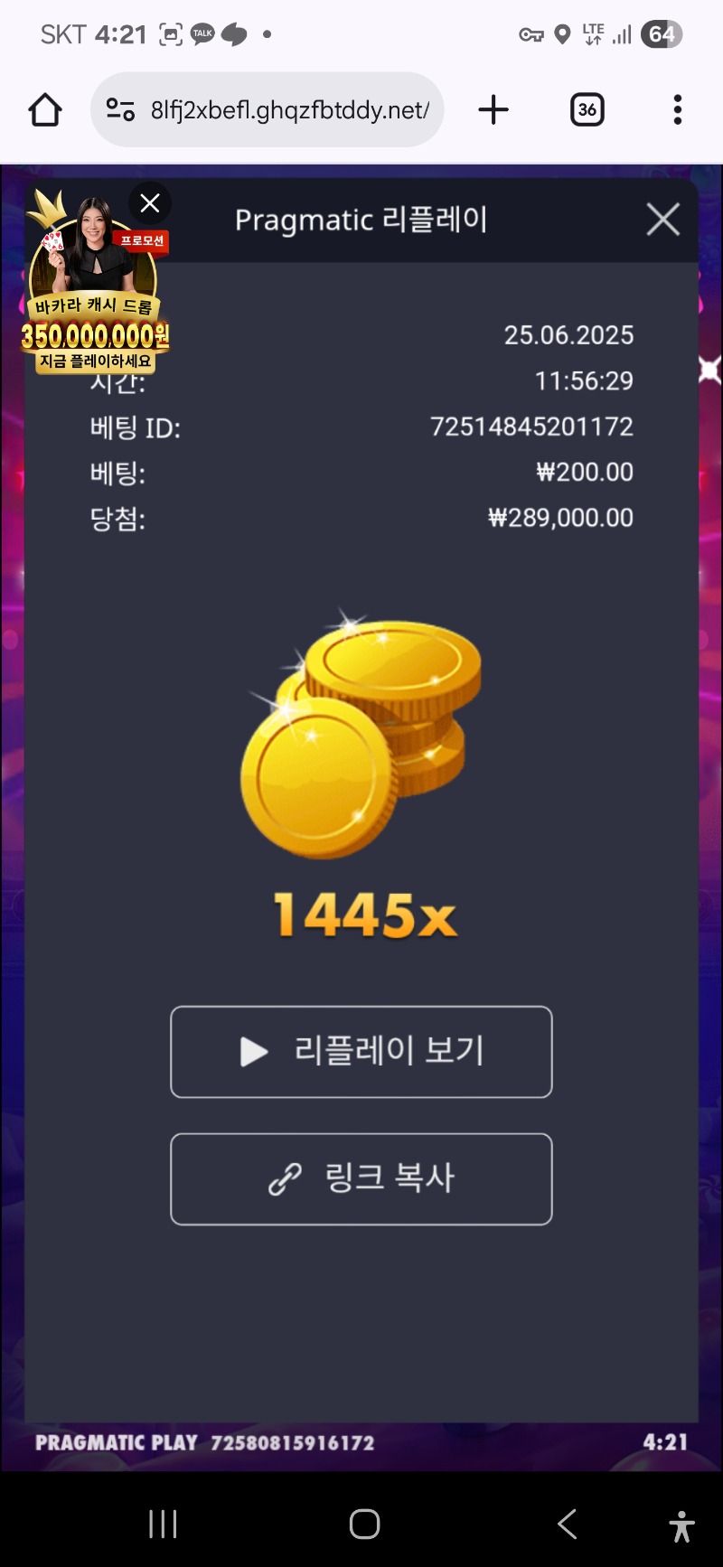 로얄 슈가1000 1445배