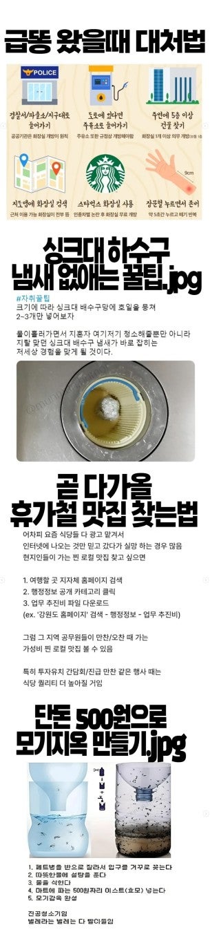 여름에 알고 있으면 무조건 도움됨
