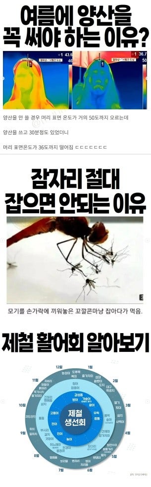 여름에 알고 있으면 무조건 도움됨
