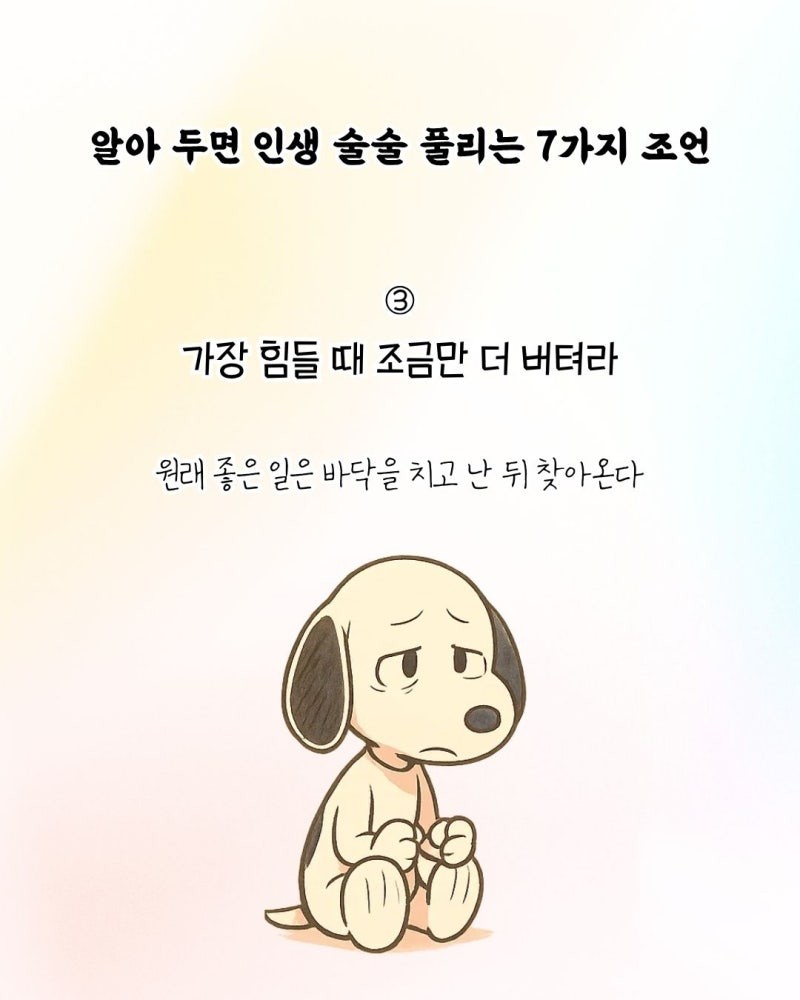 굿밤~이미슬픈사랑(인생 술술 풀리는7가지조언)
