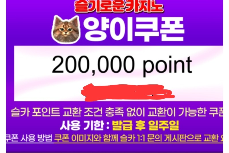 양 쿠폰 당첨