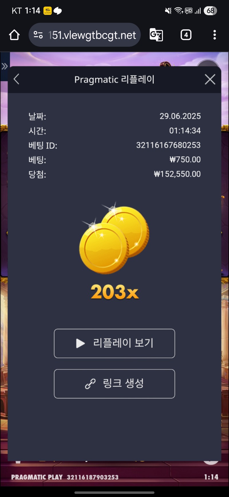 가토천 203배