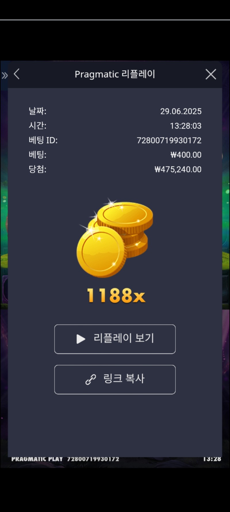 멀린 1188배