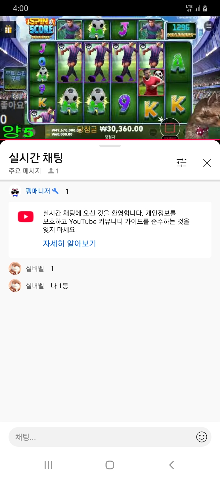 양이 방송 놀러오세요