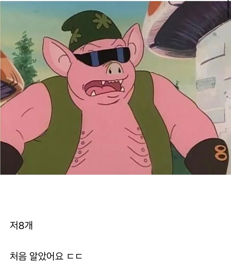 ㅈ팔계 이름의 이유