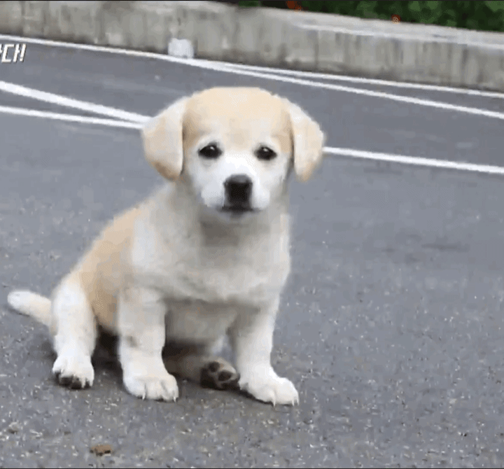 굿몽~6월한달 고생하셨습니다