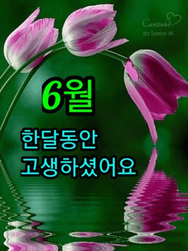 굿몽~6월한달 고생하셨습니다