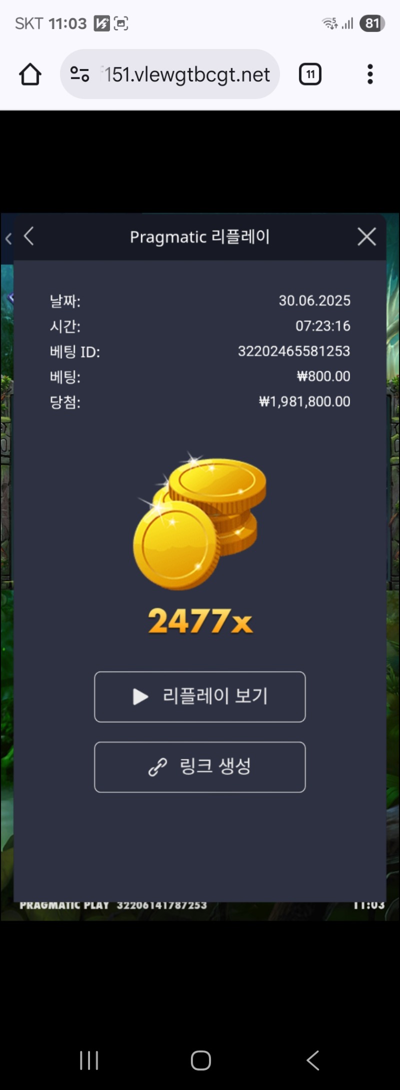 멀린2477배