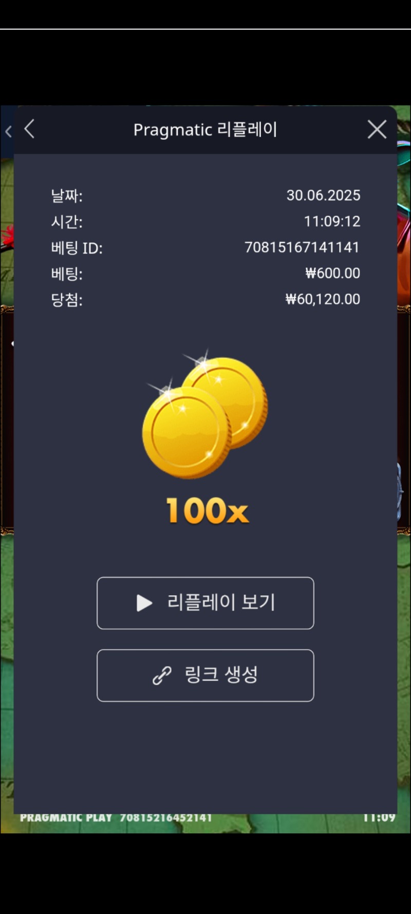 다반치보물 100배
