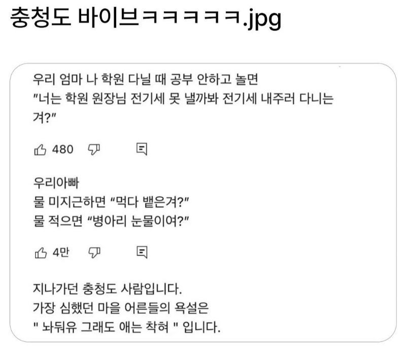충청도 바이브ㅋㅋㄱㅋㄱ개터짐ㅋㅋ