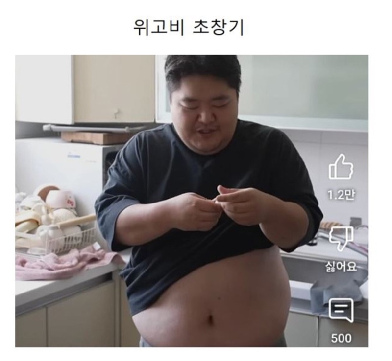 공혁준 위고비 후기