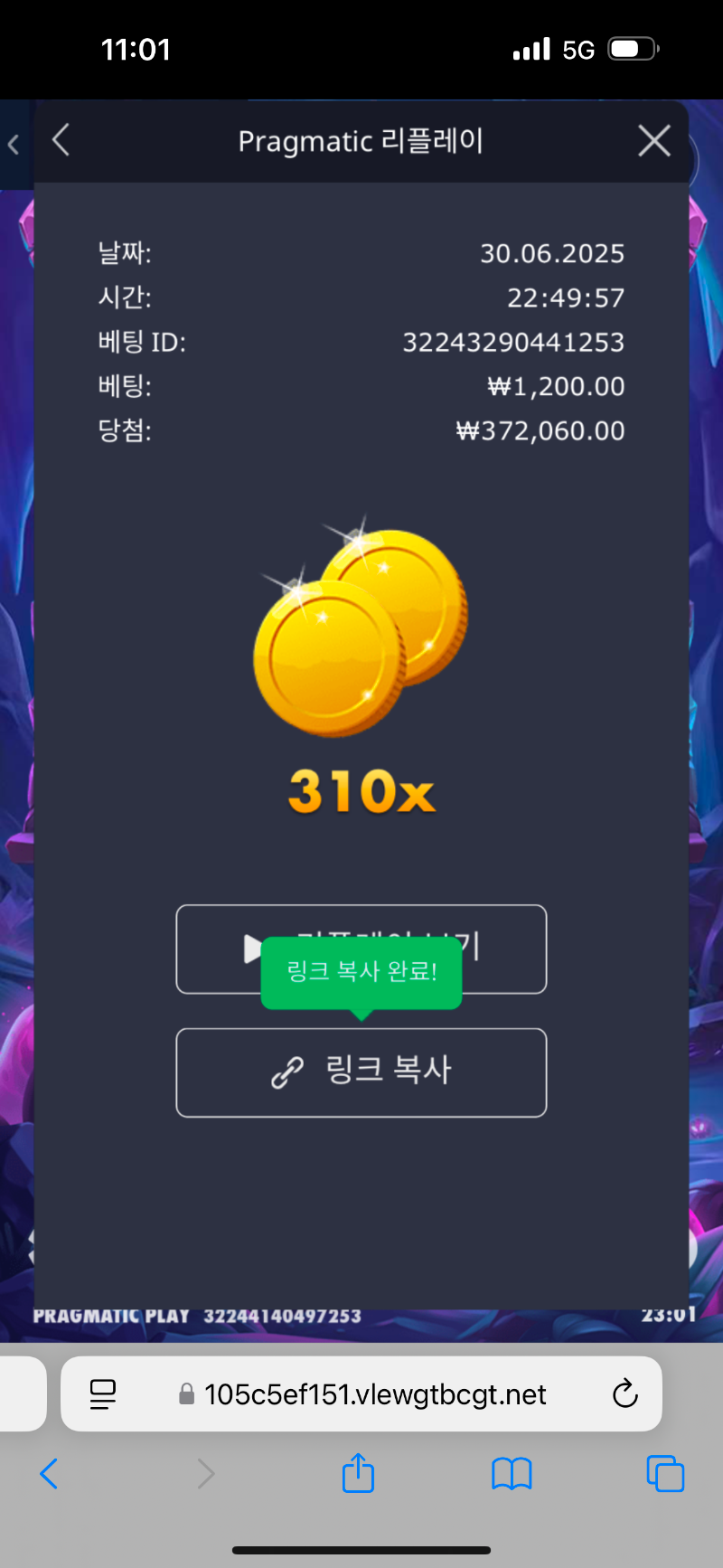 북몬 310배