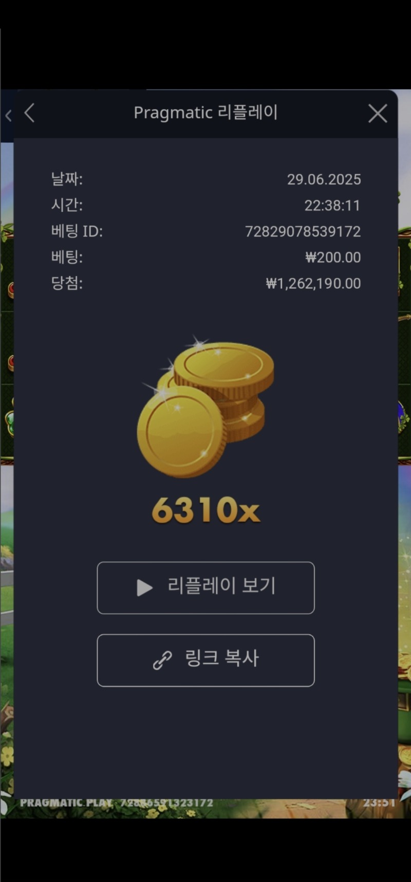 와일드와일드리치6310배